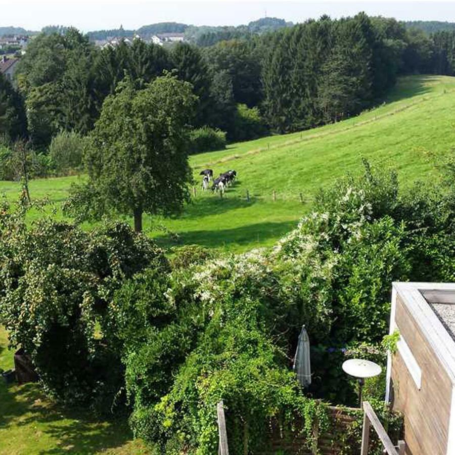 Hotel Eikamper Hoehe Odenthal Eksteriør billede